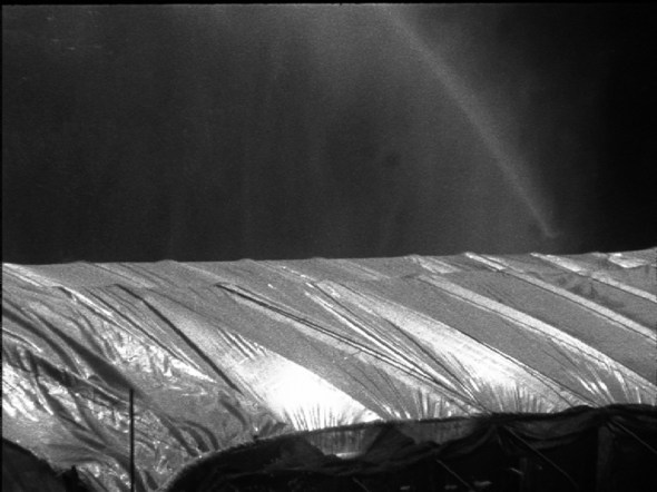 Polytunnels, 2012, 23 minutes, 16mm film.