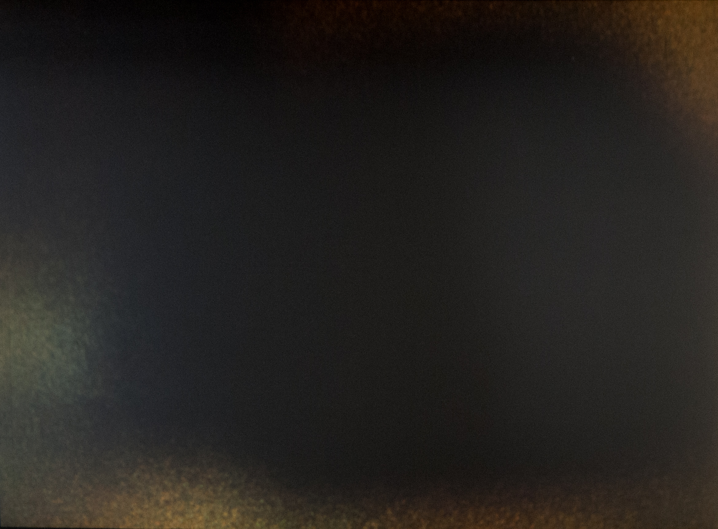 RNV.1