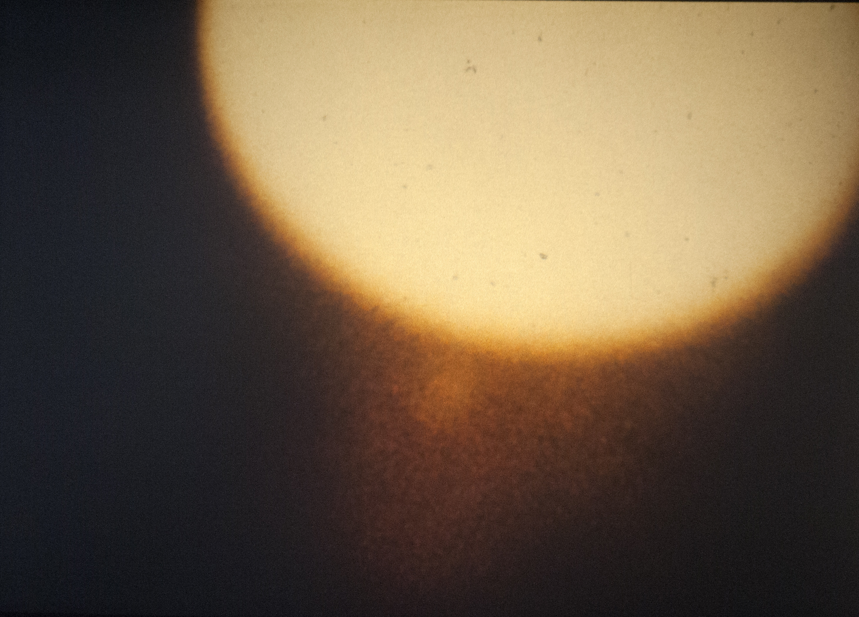 RNV.7