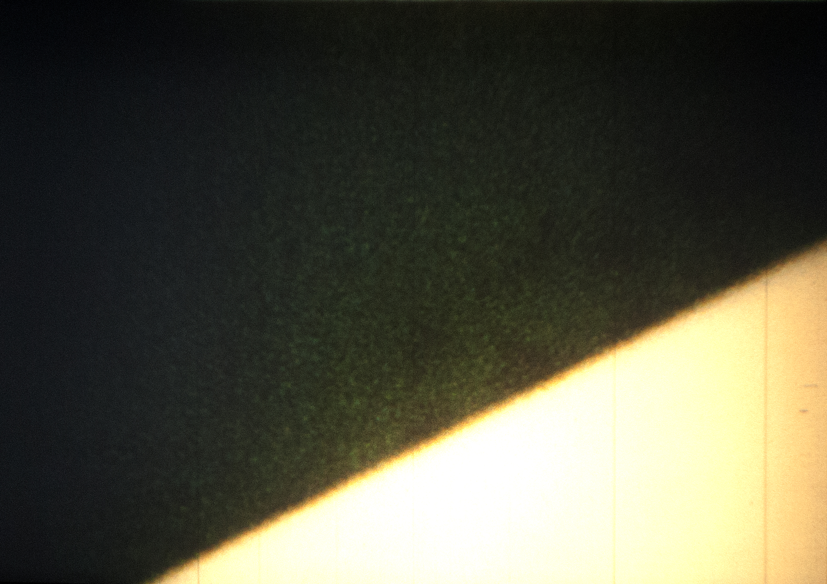 RNVI.6