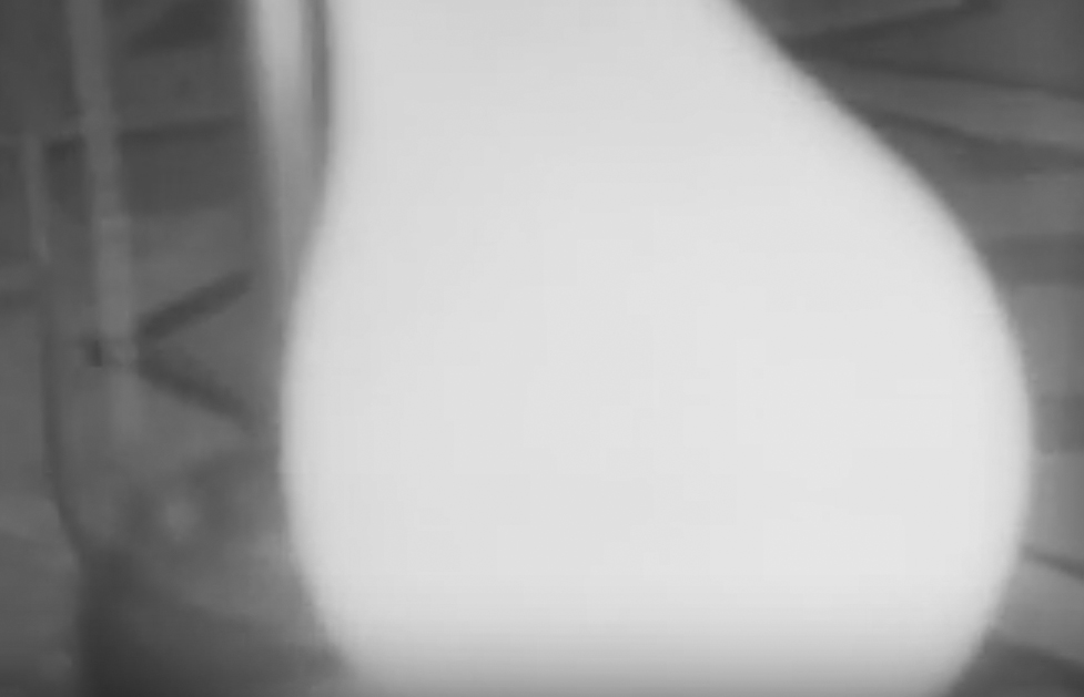 WTSG.Bulb